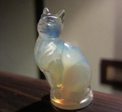 サビーノの猫